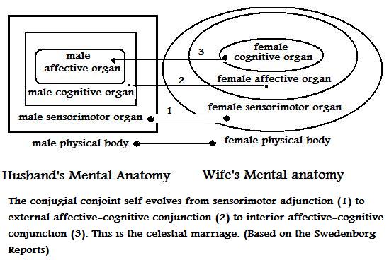 mental anatomy of married couple