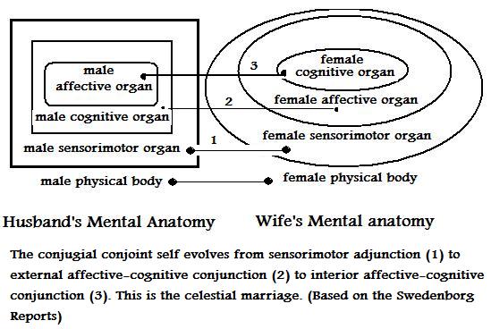 mental anatomy of married couple